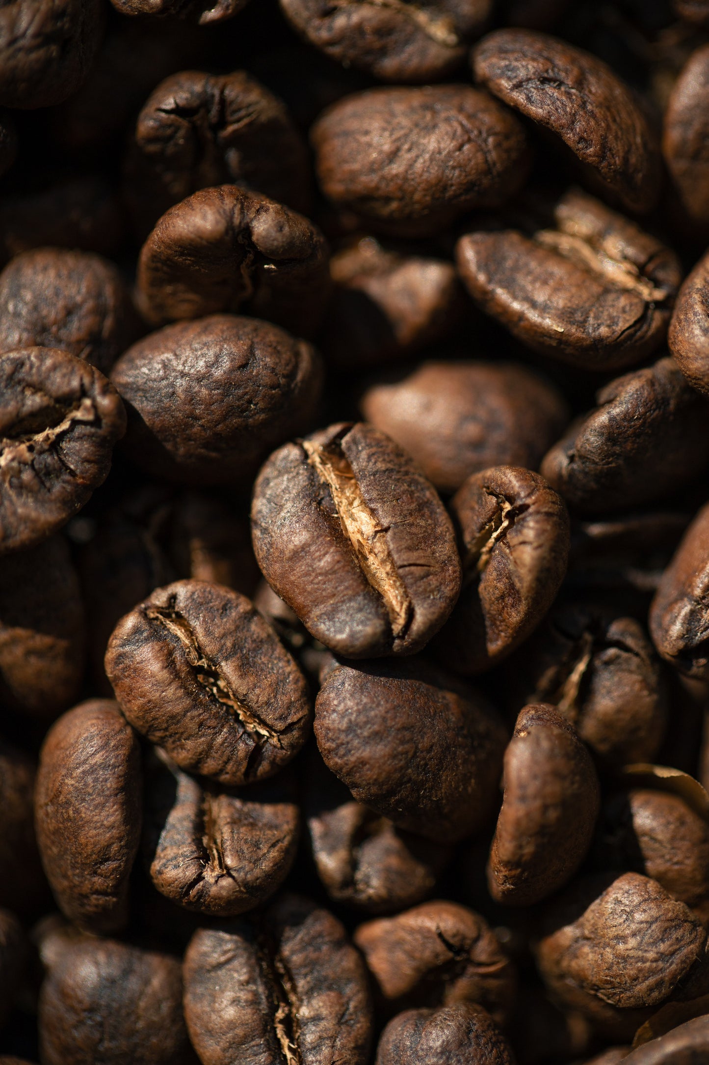 Zambia Mount Sunzu Washed AA | 100g